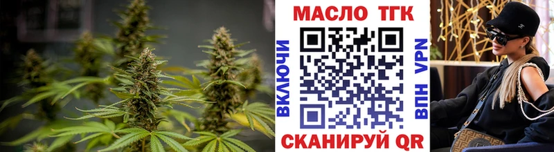 Дистиллят ТГК гашишное масло  где купить наркоту  Жиздра 