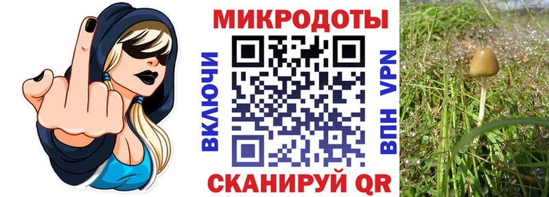 Псилоцибиновые грибы ЛСД  Жиздра 