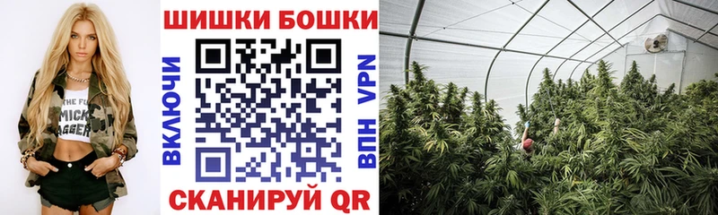mega ССЫЛКА  Жиздра  Бошки марихуана семена 